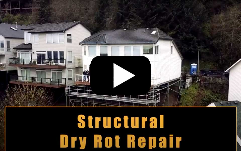 Structural Dry Rot Damage - Deck Repair
