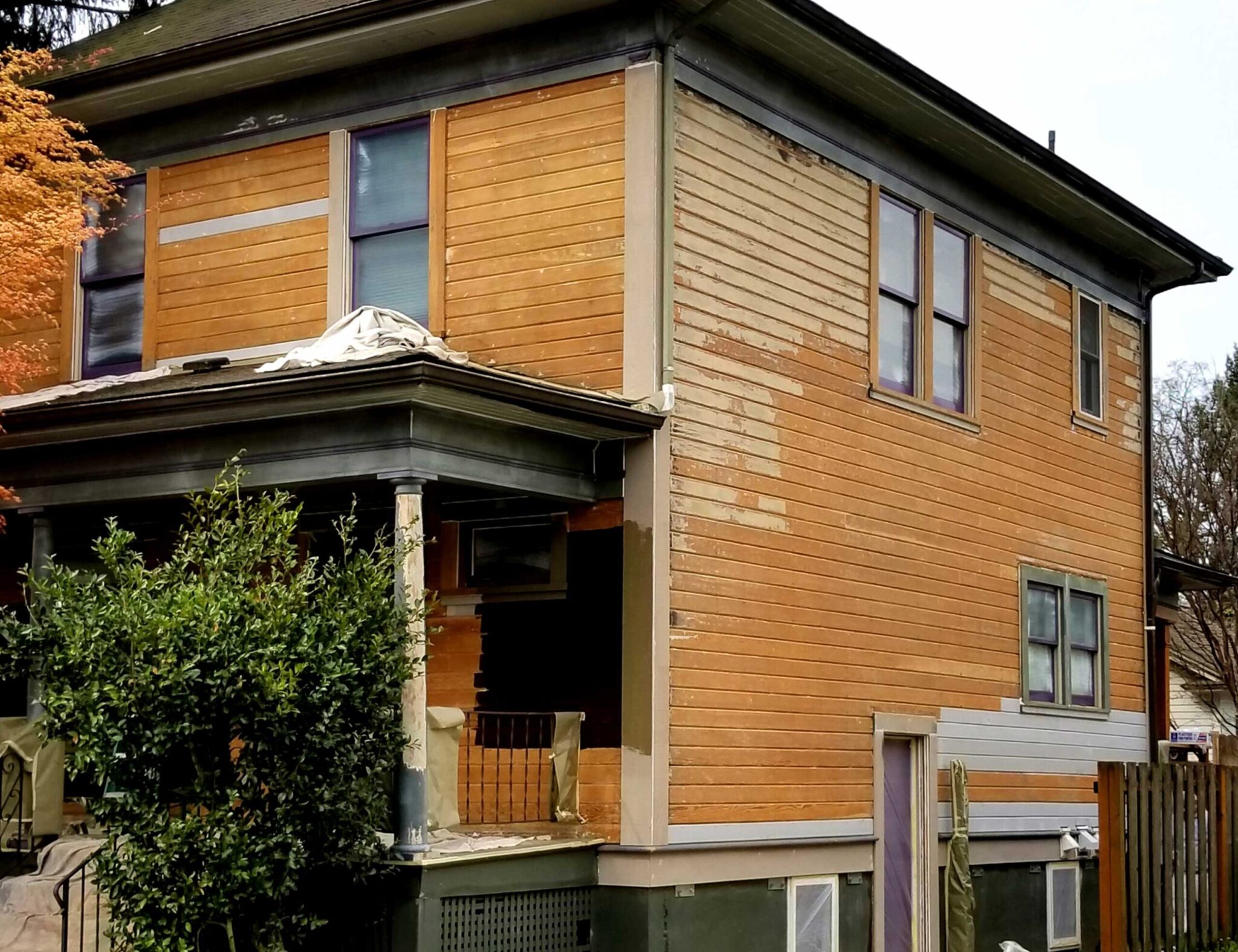 Seattle Siding Repair Contractor Specializing In Siding And Dry Rot Issues