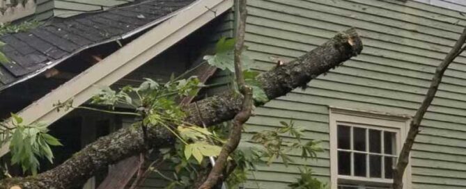 Structural Damage From a Fallen Tree In Portland