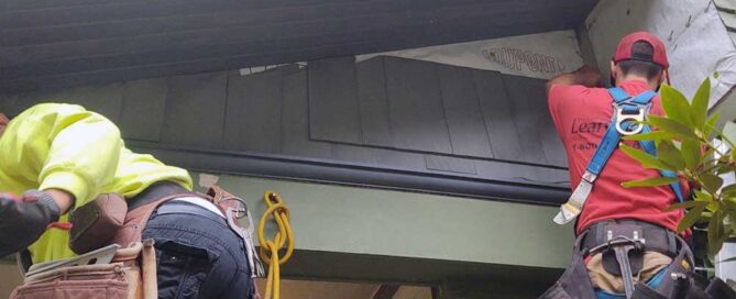 Targeted Siding Repairs