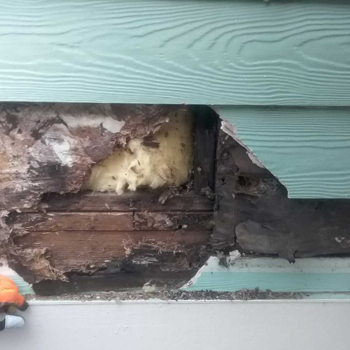 Dry Rot Underneath Siding From Window Leak