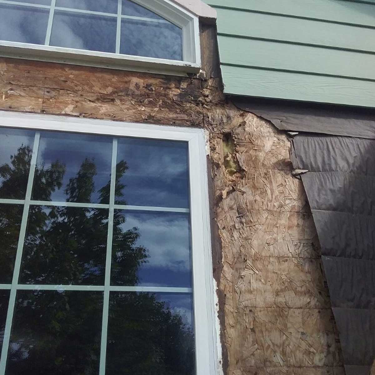 Dry Rot Around Window Caused By Window Leak