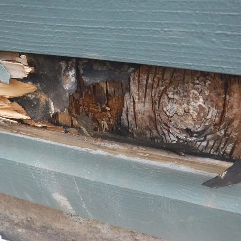 Eugene Siding And Dry Rot Contractor Serving The Springfield Area