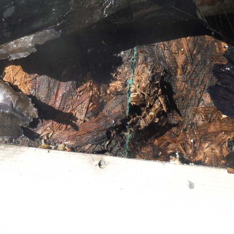 Salem Siding Repair And Dry Rot Repair Vinyl And James Hardie Siding