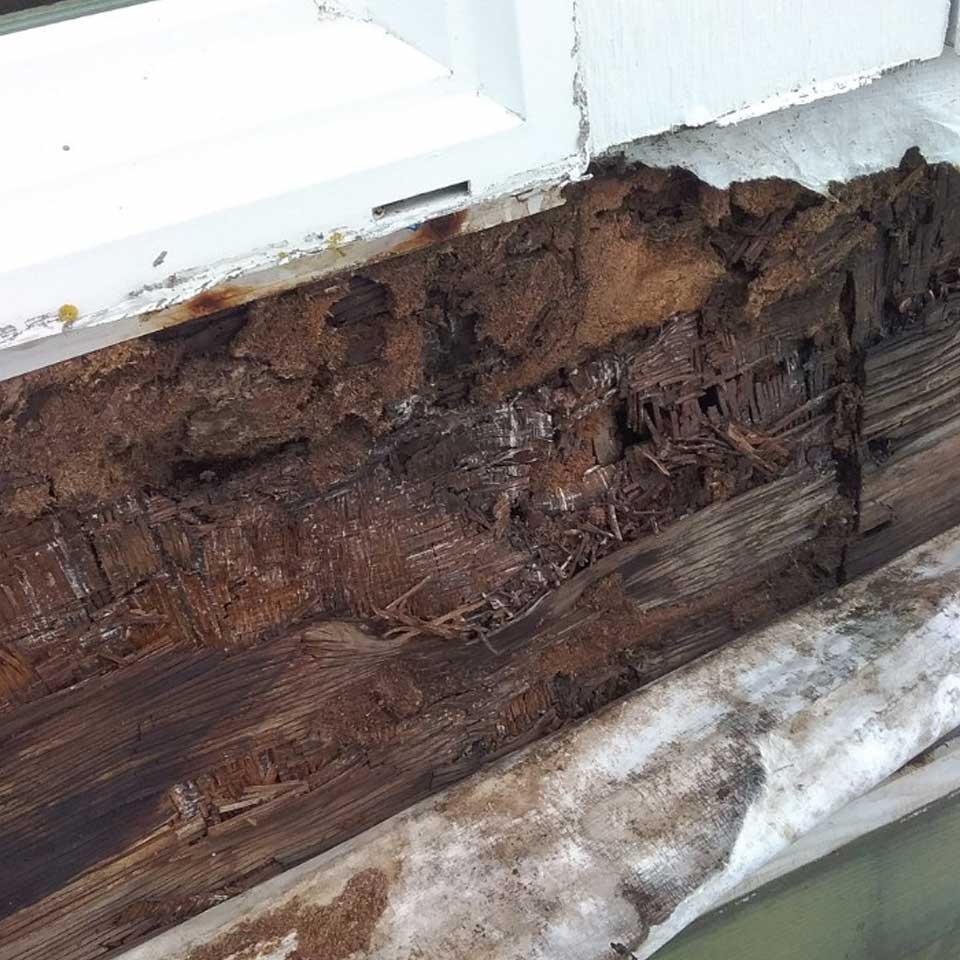 Boston Wood Rot Repair