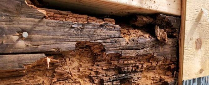 Dry Rot Repair Estimate