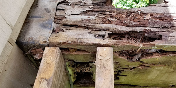 Portland Structural Dry Rot Repair