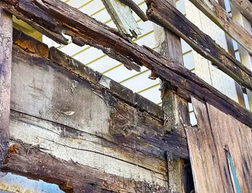 How to Identify Rot on Your Home