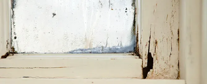 window leak
