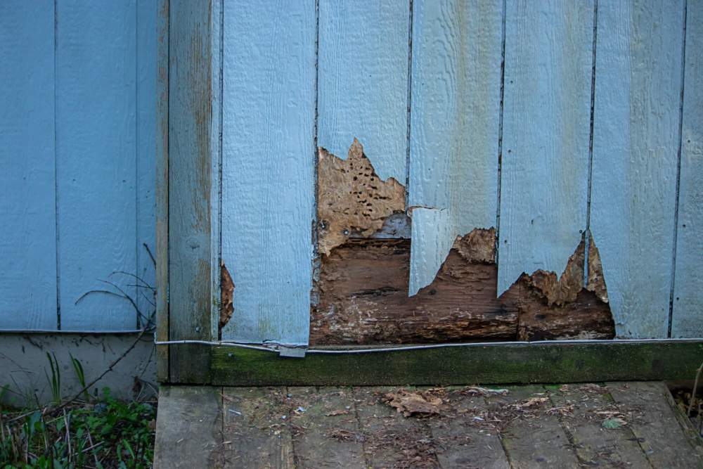 Siding-repair-guide10 Damaged Siding