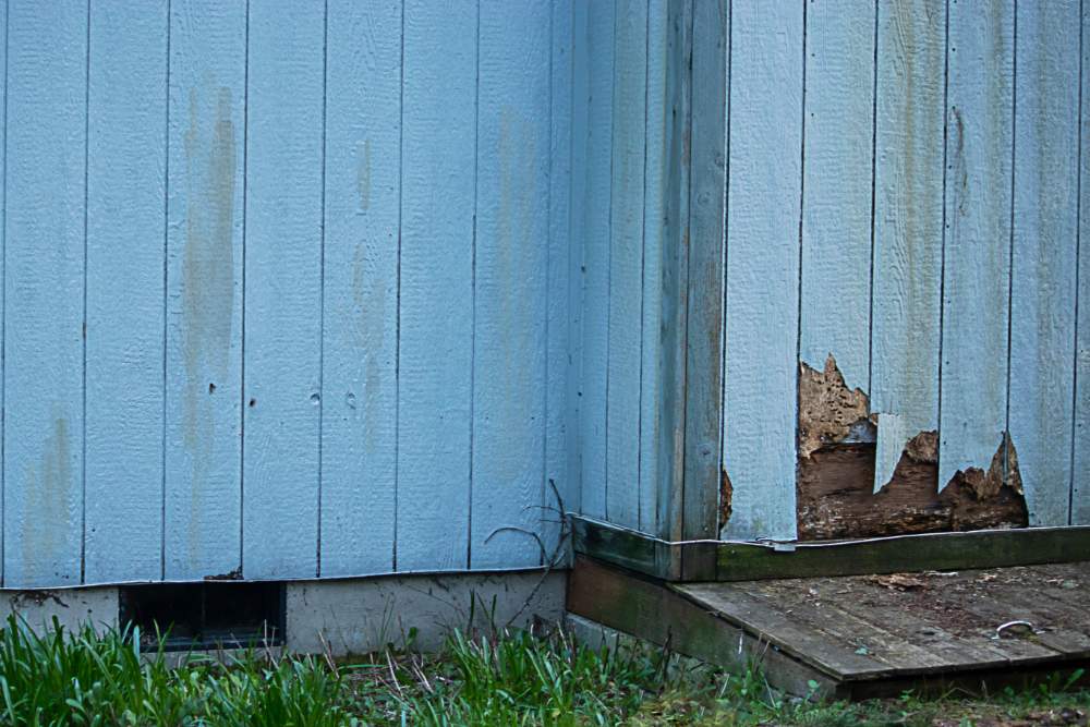 Siding-repair-guide11 Failing Siding