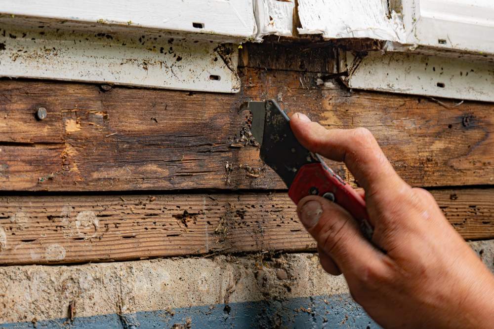 Siding-repair-guide3 Behind The Siding